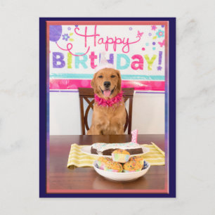 Cartão Postal De Convite Parabéns Festa de Cachorro de Aniversário com Meu