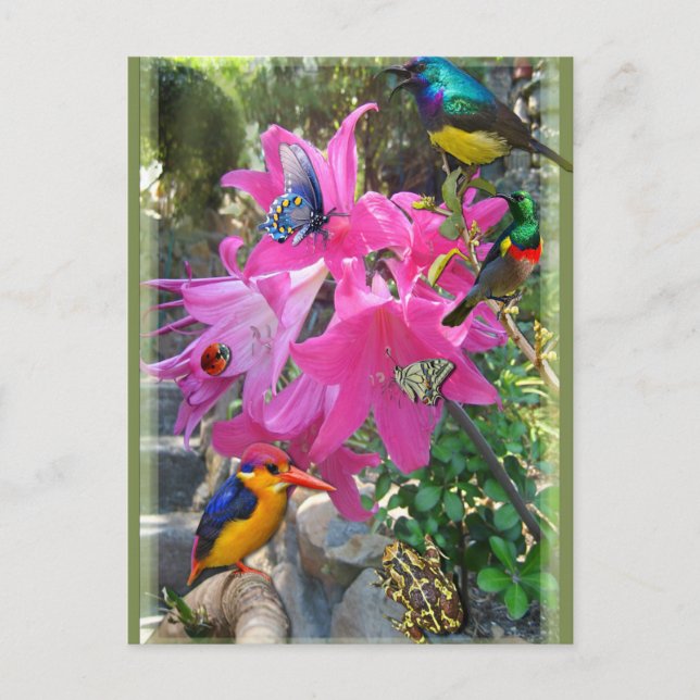 Cartão Postal De Convite Partido Amaryllis (Frente)