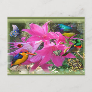 Cartão Postal De Convite Partido Amaryllis