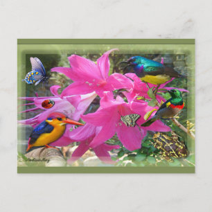 Cartão Postal De Convite Partido Amaryllis