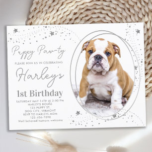 Cartão Postal De Convite Pet Photo Silver Stars Puppy Dog Aniversário