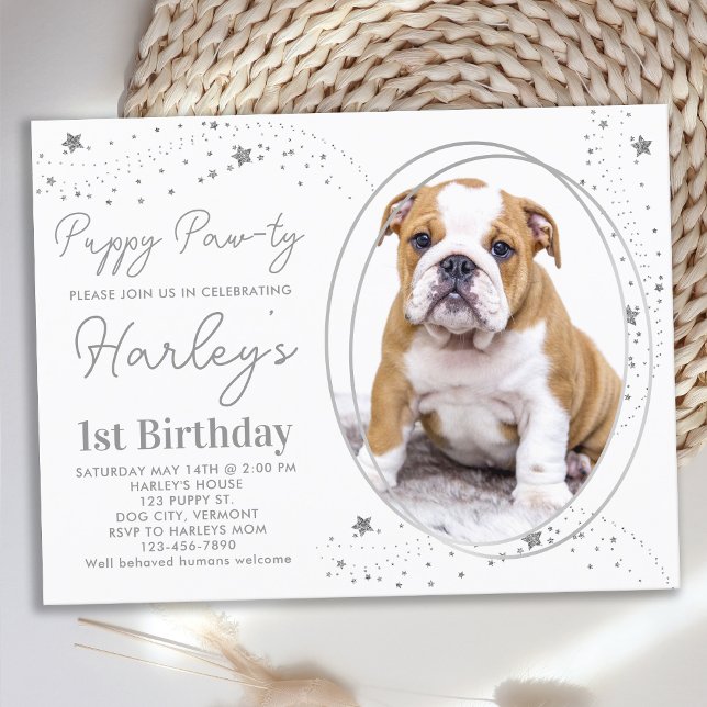 Cartão Postal De Convite Pet Photo Silver Stars Puppy Dog Aniversário (Criador carregado)