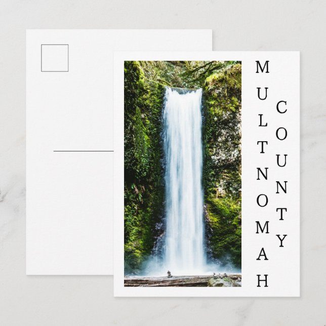 Cartão Postal De Convite Pintura de quedas de Wikileaks (Frente/Verso)