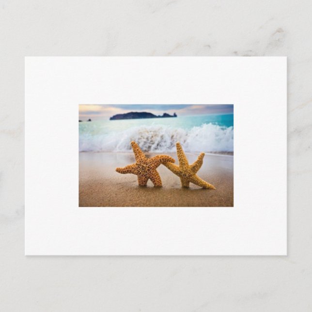 Cartão Postal De Convite Placa de Posto de Resposta de Recepção (Frente)