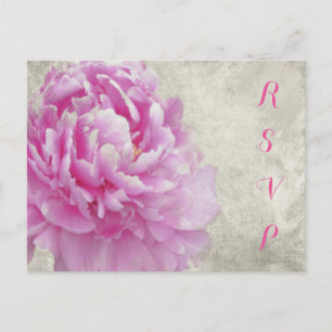 Cartão Postal De Convite Placa RSVP de Peony Antiguada Rosa