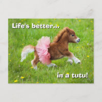 Pony em Tutu