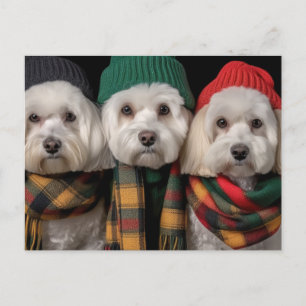 Cartão Postal De Convite Pups de Férias