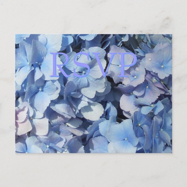 Cartão Postal De Convite Resposta RSVP de Hydrangea Azul (Frente)