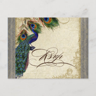 Cartão Postal De Convite Resposta Wedding formal do pavão & das penas RSVP