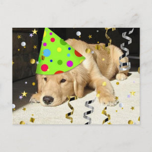 Cartão Postal De Convite Retriever de Ouros de animais festas de aniversári