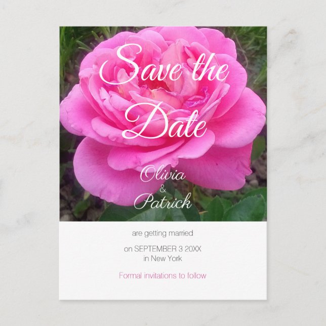 Cartão Postal De Convite Romântico Rosa de Rosa Casamento Save the Date  (Frente)