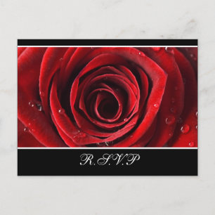Cartão Postal De Convite Rosa vermelha bonita que Wedding RSVP - preto