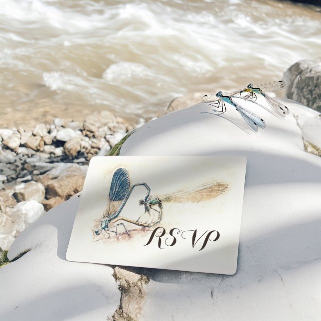 Cartão Postal De Convite RSVP de Casamento Resposta Dragonfly Mating Love H (Criador carregado)