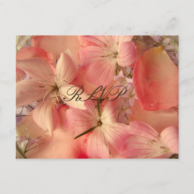 Cartão Postal De Convite RSVP, Flores Românticas Rosa (Frente)