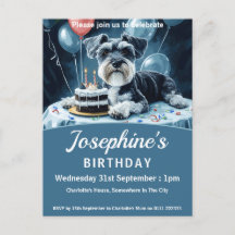 Schnauzer Festa de aniversário