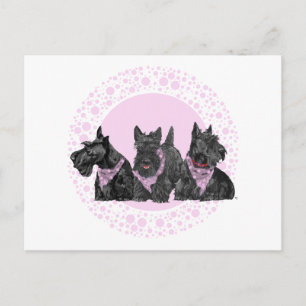 Cartão Postal De Convite Scotties de celebração em rosa