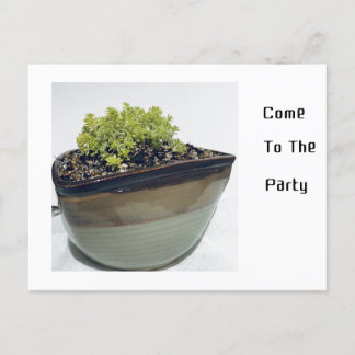 Cartão Postal De Convite Sedum num Pote triangular