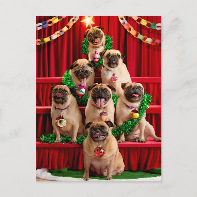 Cartão Postal De Convite Sete Pug-a-posar (Frente)