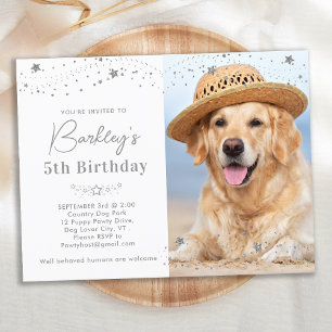 Cartão Postal De Convite Silver Stars Personalizado Pet Photo Dog Aniversár