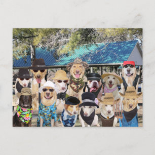 Cartão Postal De Convite Sindicato da Família Engraçado