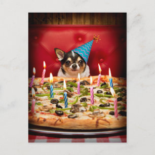 Cartão Postal De Convite Torta de Pizza de Aniversário de Chihuahua