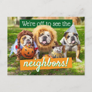 Cartão Postal De Convite Três Bulldogs Vestidos