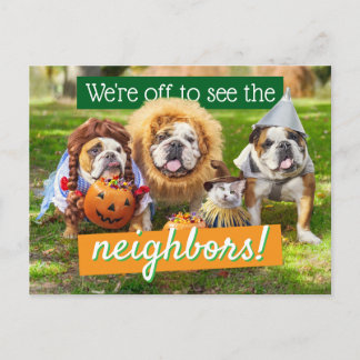 Cartão Postal De Convite Três Bulldogs Vestidos