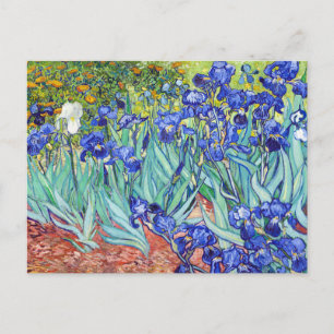 Cartão Postal De Convite Vincent Van Gogh pintando Íris