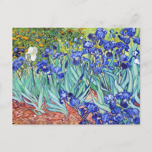 Cartão Postal De Convite Vincent Van Gogh pintando Íris (Frente)