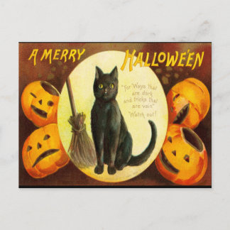 Cartão Postal De Convite Vintage Black Cat Bloody Text Halloween Party Invi