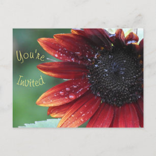 Cartão Postal De Convite Você é convidado para o Sunflower Vermelho