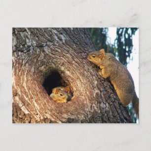 Cartão Postal De Convite Você é convidado_ Postcard_by Elenne