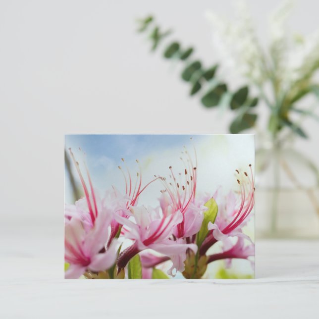 Cartão Postal De Convite Wild Azalea Blossoms (Em pé/Frente)