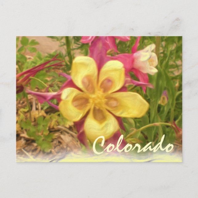Cartão postal de cor amarela (Frente)