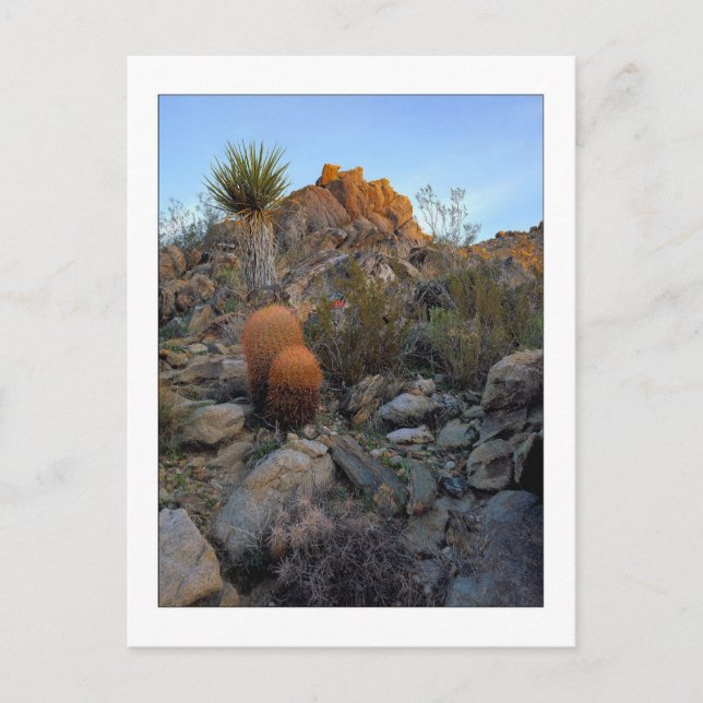 Cartão Postal De "cores da rota Ridge " (Frente)