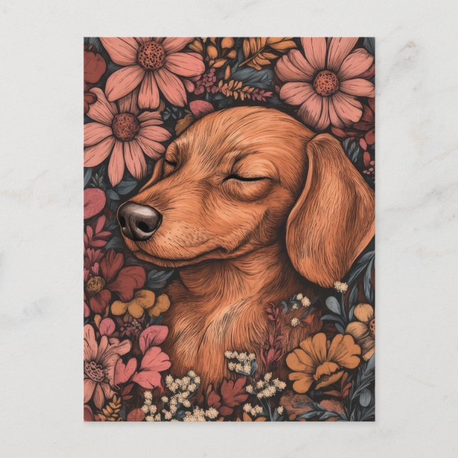 Cartão postal de dachshund em aquarela (Frente)