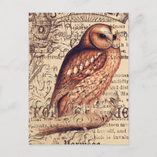 Cartão postal de decoupage de efemérides de coruja