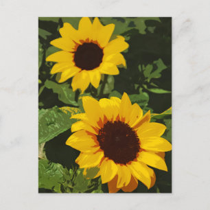Cartão postal de design de girassol amarelo