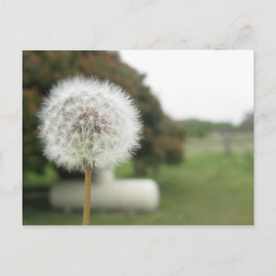 cartão postal de destino