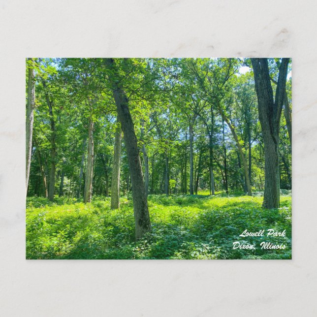 Cartão postal de Dixon Illinois no Parque Lowell (Frente)