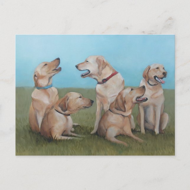 Cartão postal de Dog de Festa de Laboratório (Frente)