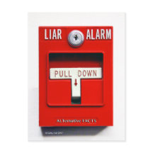 Cartão postal de Donald J.Trump Fire