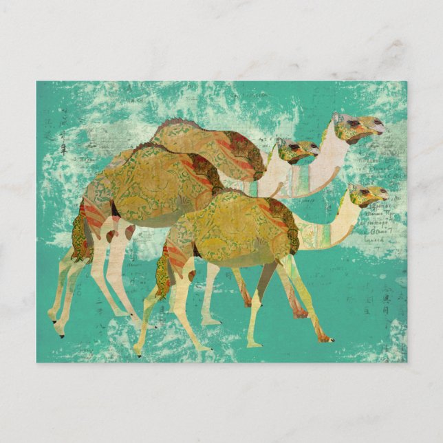 Cartão postal de Dreamy Camels (Frente)
