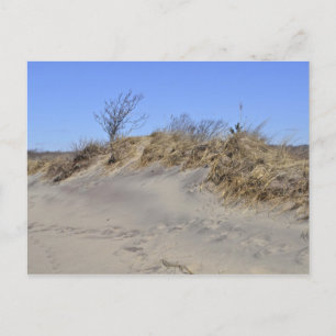 Cartão postal de duna de areia