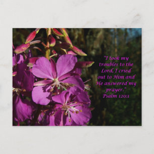 Cartão postal de encorajamento Psalm 120:1