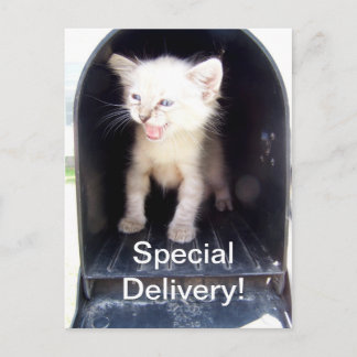 Cartão postal de entrega especial