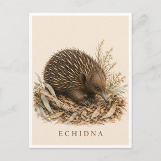 Cartão Postal de Equidna | Edição Bush