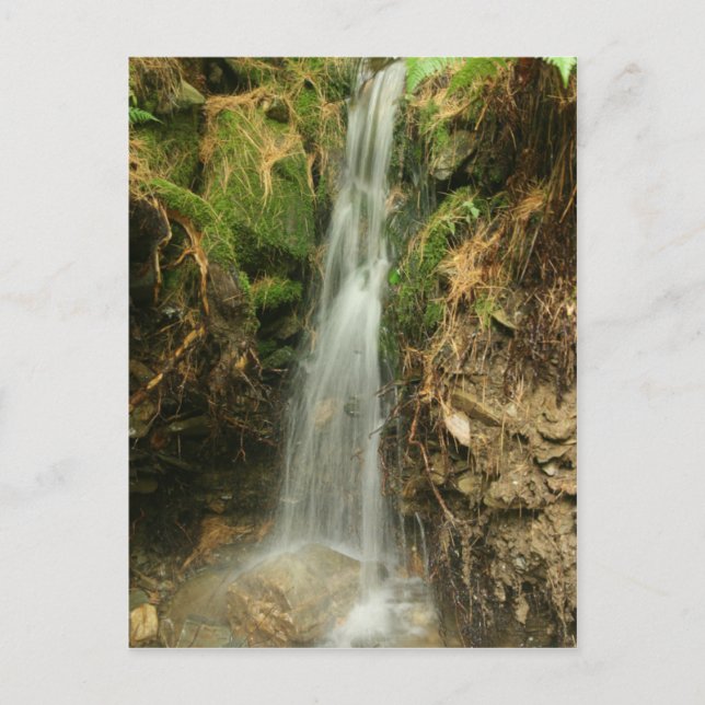 Cartão postal de Execução de Tempestade (Frente)