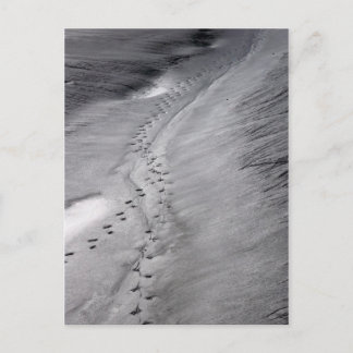 cartão postal de faixas