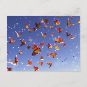 Cartão Postal de Fantasia de Verão